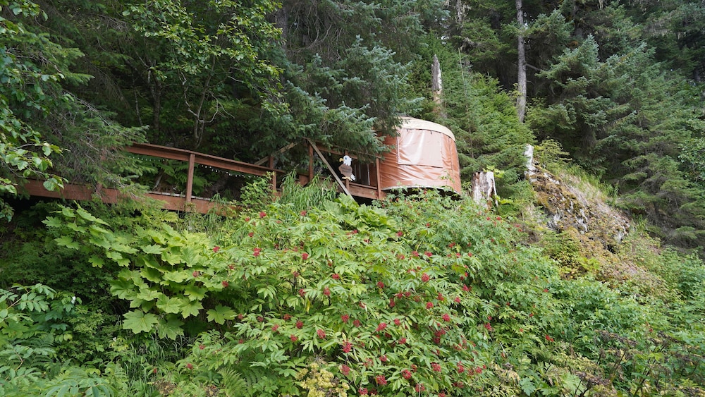 Nauti Otter Inn - photo 53