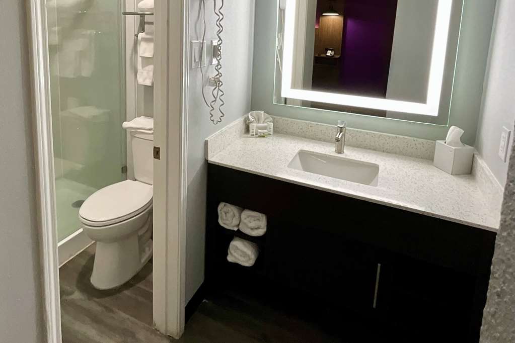 La Quinta Inn by Wyndham Amarillo Mid City - photo 24