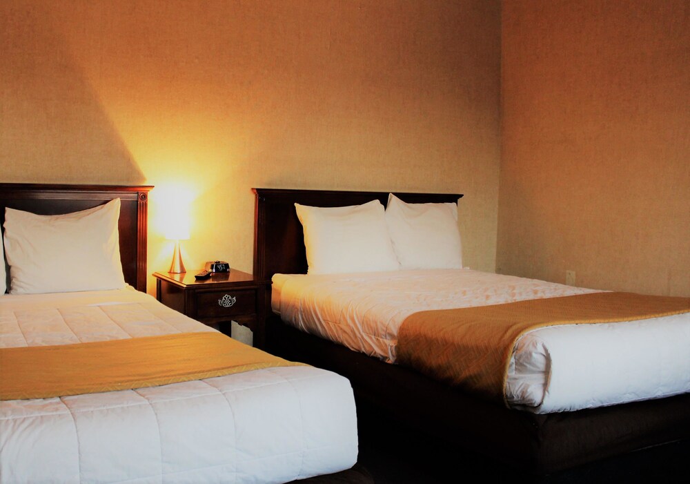 Econo Lodge Inn and Suites Central - photo 9