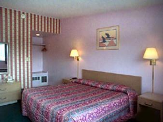 Knights Inn Springfield - photo 4