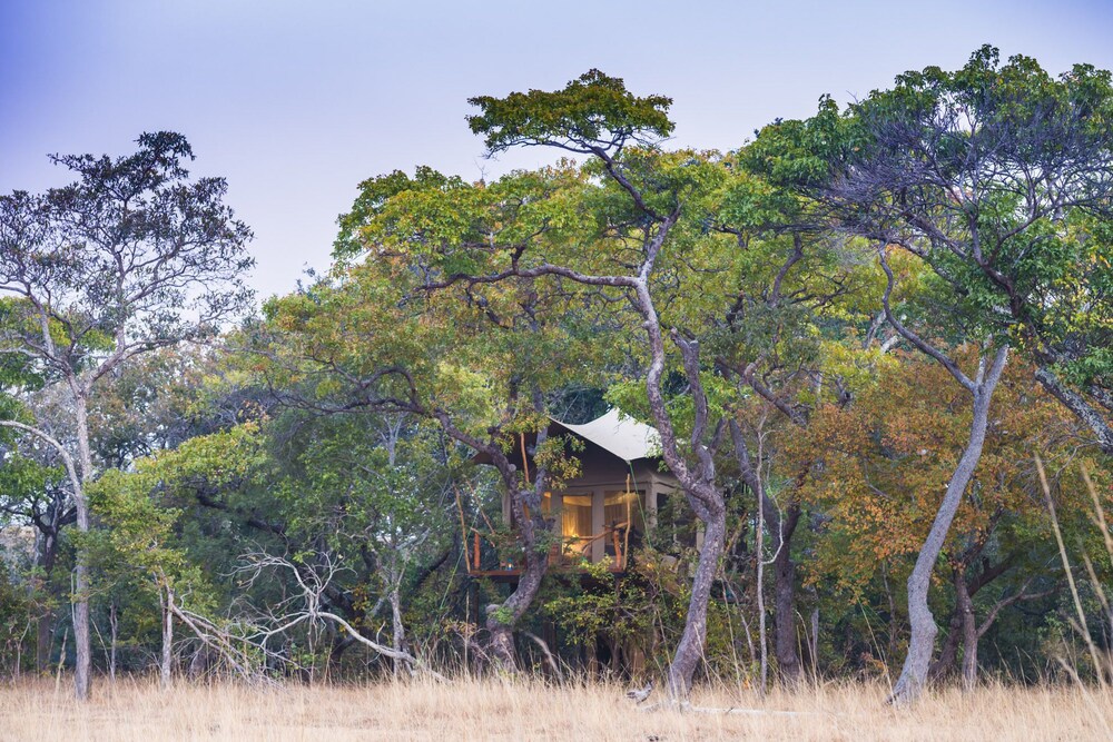 Mukambi Fig Tree Bush Camp All Inclusive in Mumbwa, Zambia