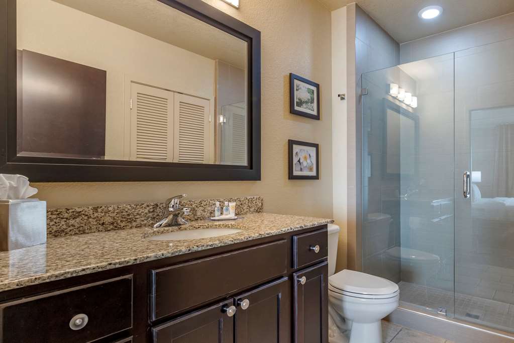 Comfort Inn Bentonville Crystal Bridges - photo 12