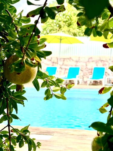 Hakuna Matata in Unknown City, Portugal