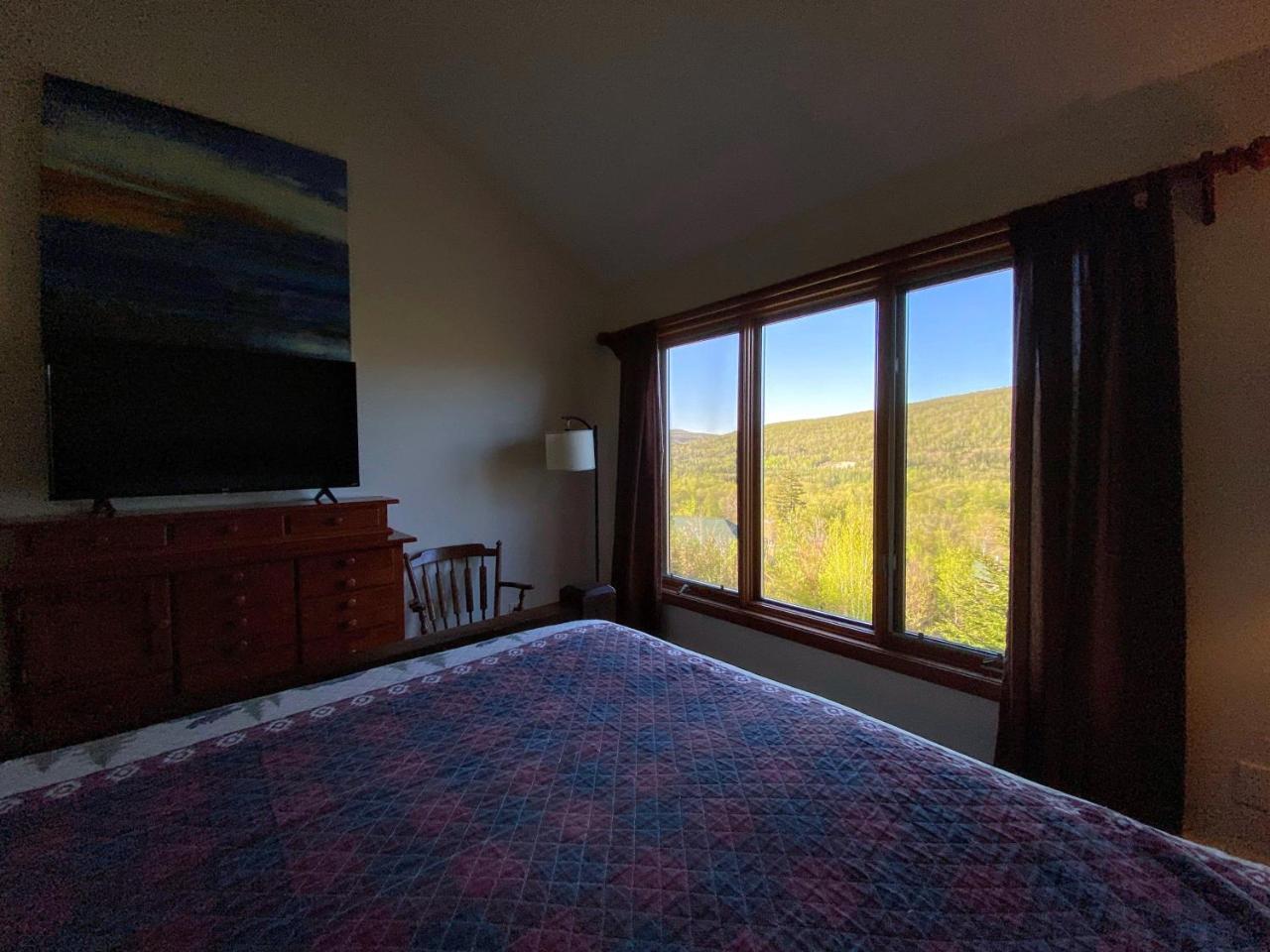 C1 Top Rated Ski In Ski Out Townhome Great views fireplaces fast wifi AC Short walk to slopes - photo 19