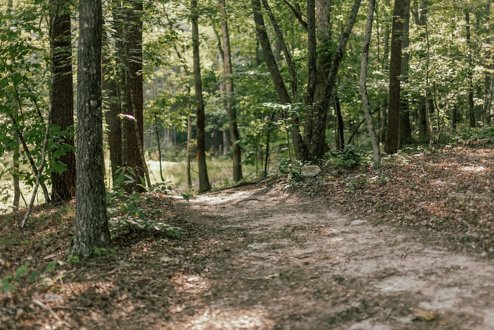 Emberglow Outdoor Resort - photo 302