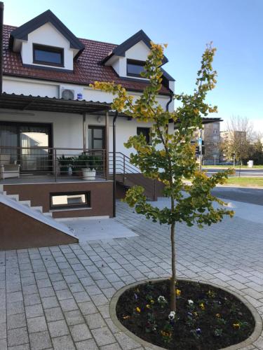 EVA Rooms & Studio Apartment — 4-Star Luxury Hotel in Karlovac, Croatia