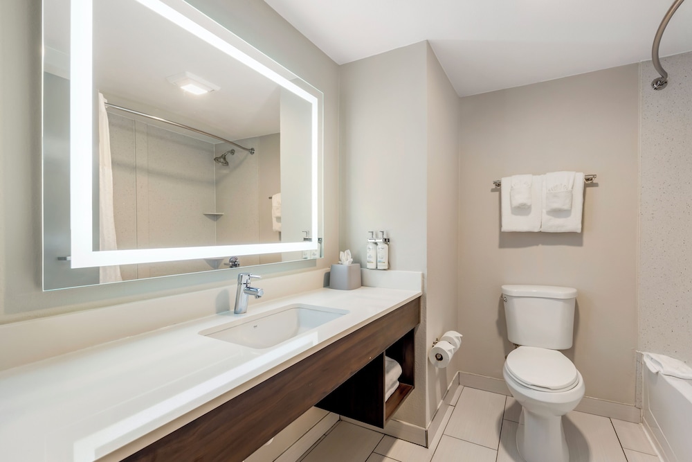 Holiday Inn Express & Suites Nashville Southeast Antioch by IHG - photo 27