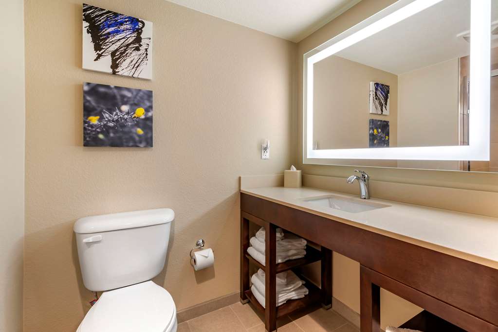 Comfort Suites Broomfield Boulder Interlocken - photo 7