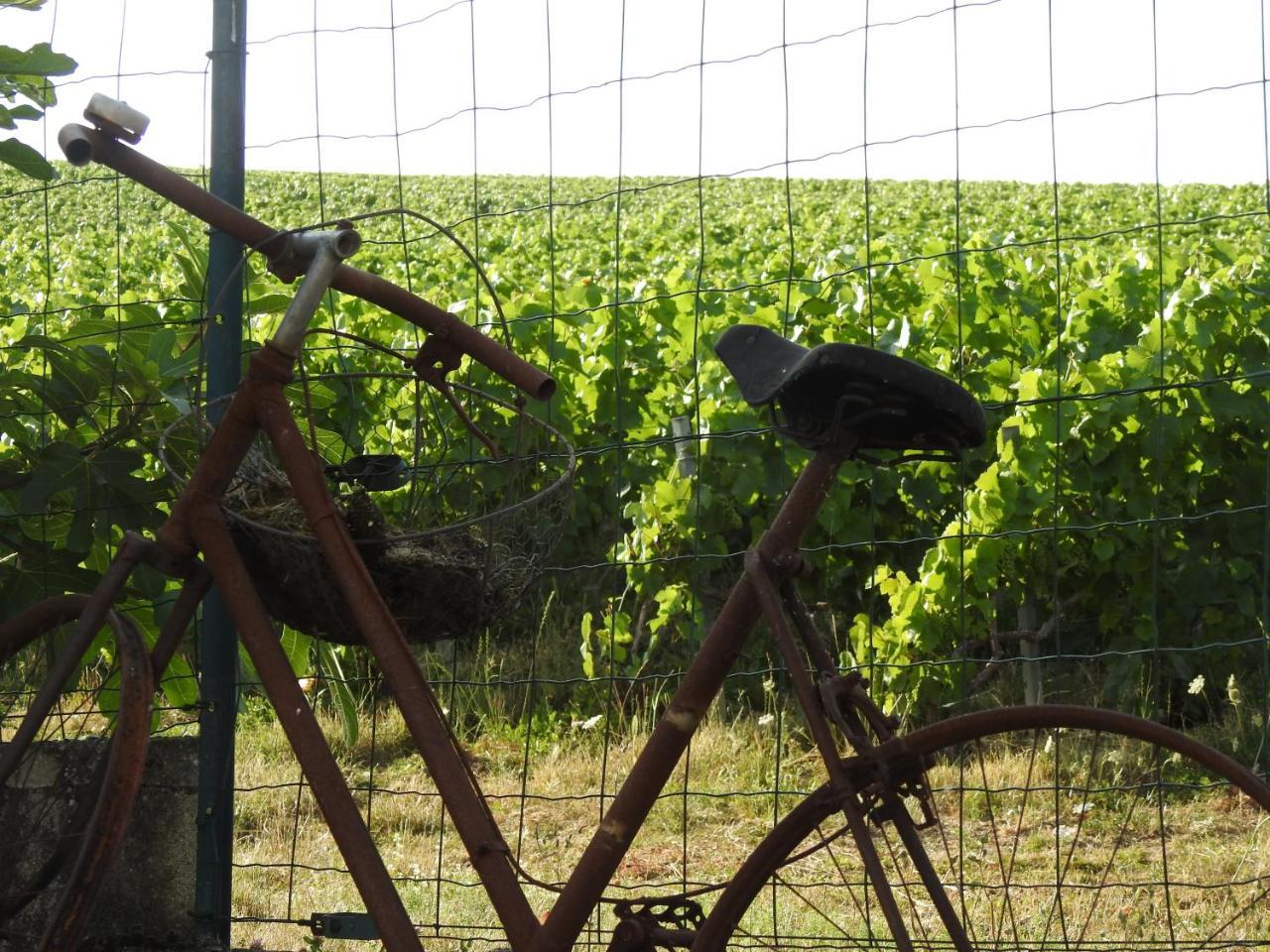 Au Coeur Des Vignes — Epernay