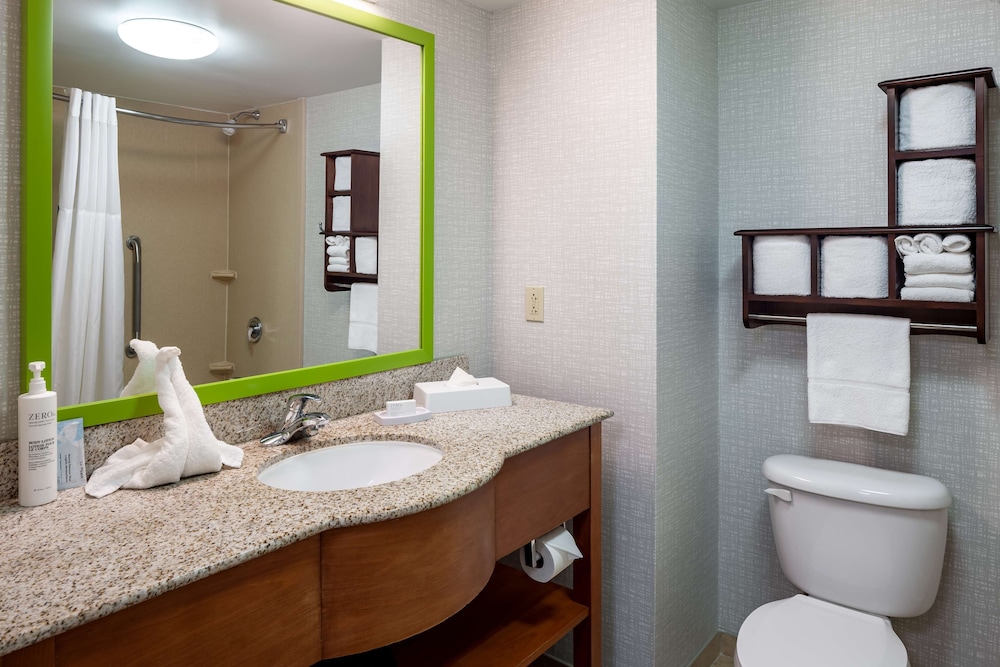 Hampton Inn & Suites St. Louis at Forest Park - photo 17