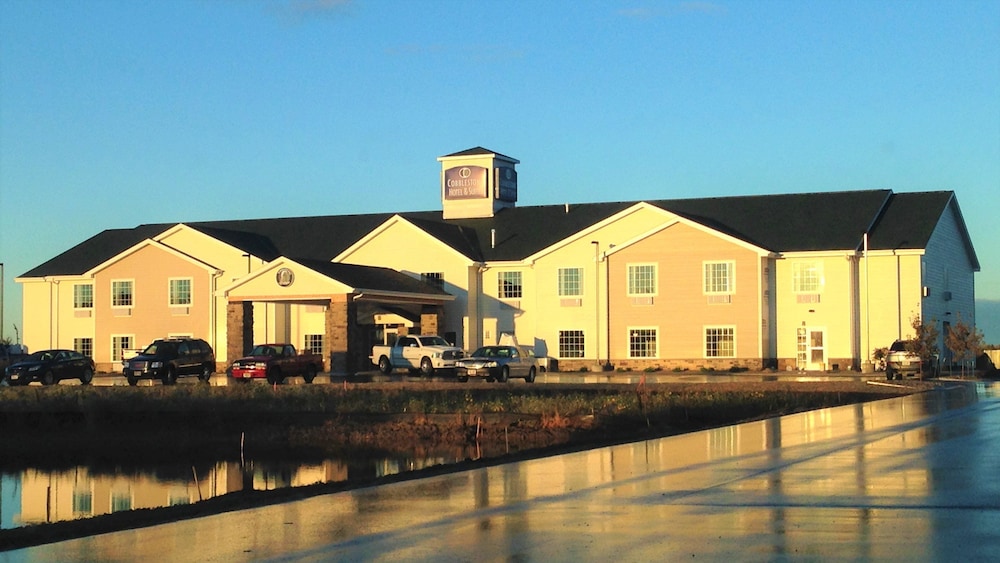 Cobblestone Hotel & Suites Pulaski Green Bay - photo 47