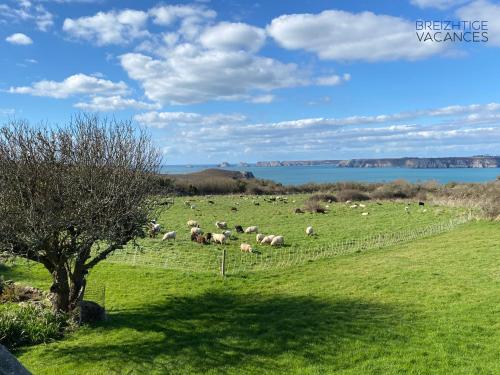 Penty Kergonan avec belle vue mer Crozon Bretagne in Crozon, France