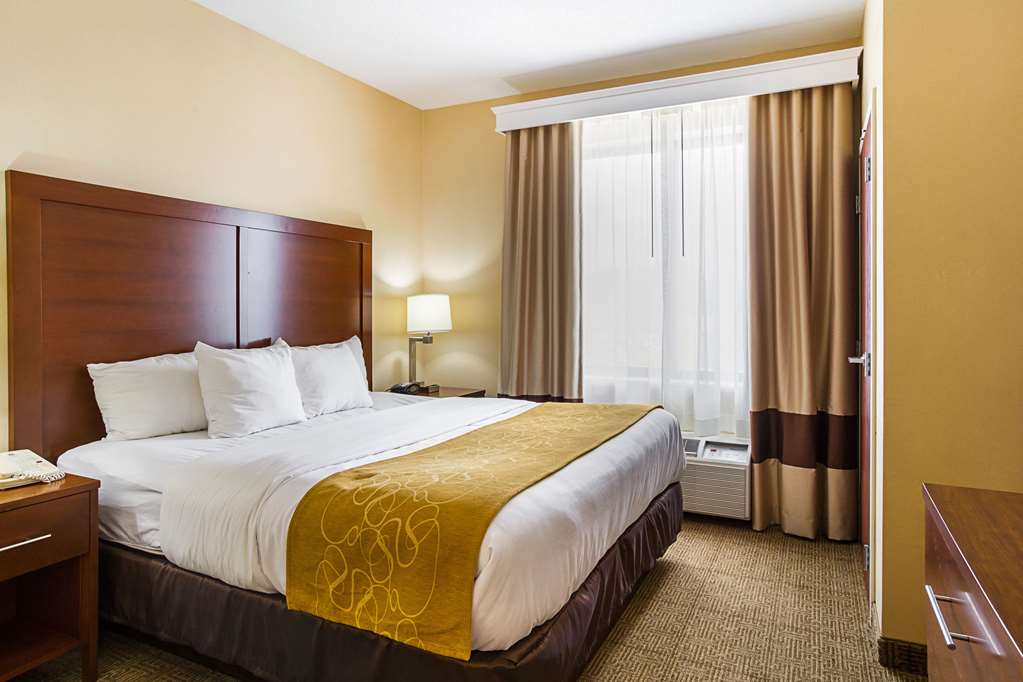 Comfort Suites Twinsburg - photo 41