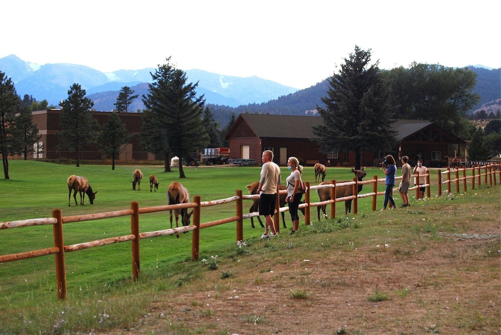 Discovery Lodge - photo 127
