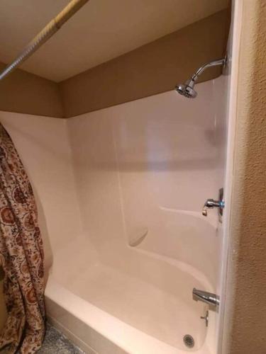 Cold Springs Resort - photo 19