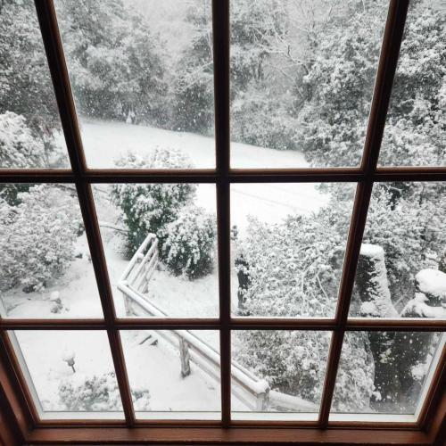 Oak Hill Inn - photo 12