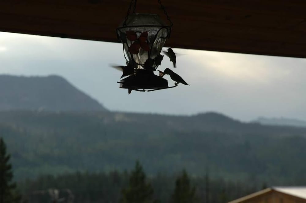 Lava Mountain Lodge - photo 54