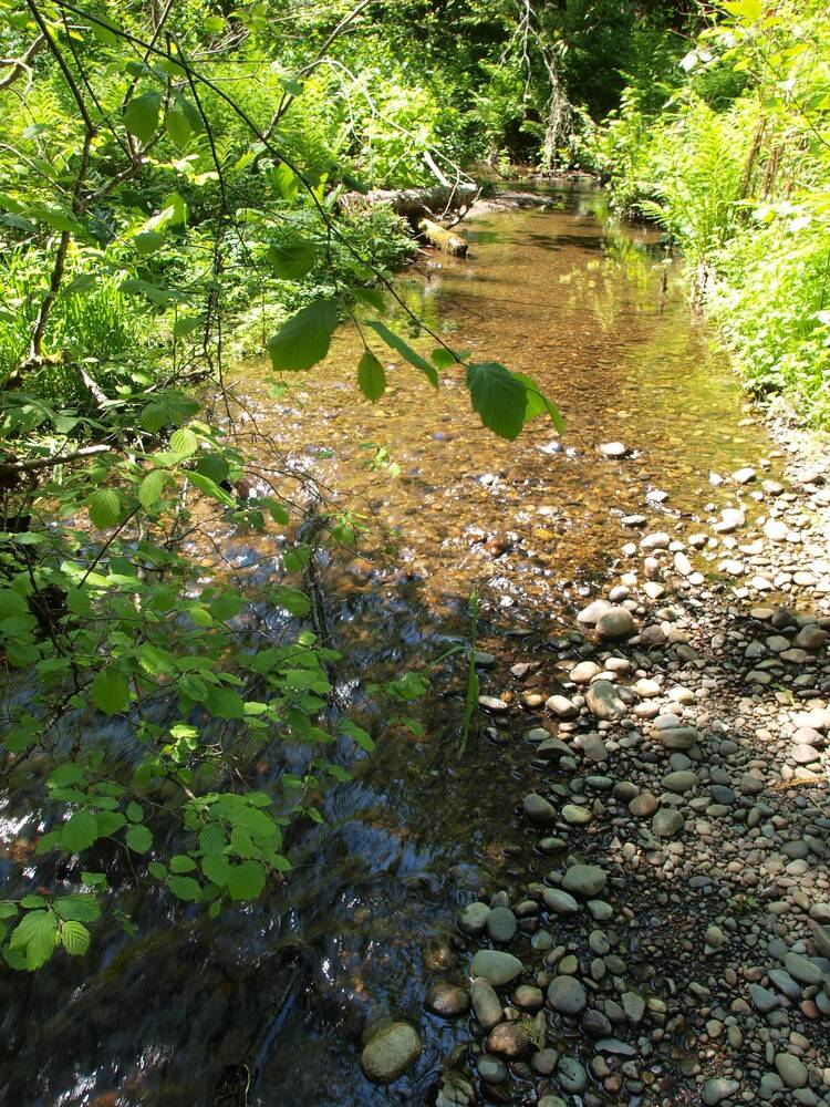 Robin Hood Village Resort - photo 143