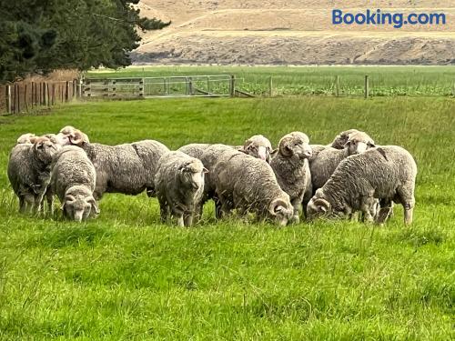 Lake Heron Station in Ashburton, New Zealand