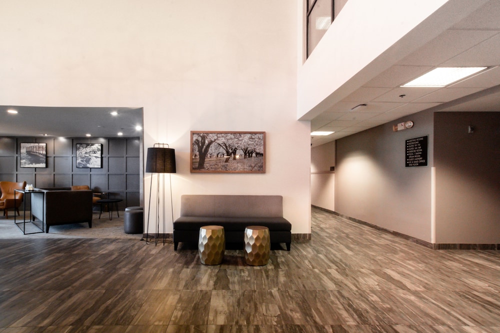 Oxford Suites Chico - photo 5