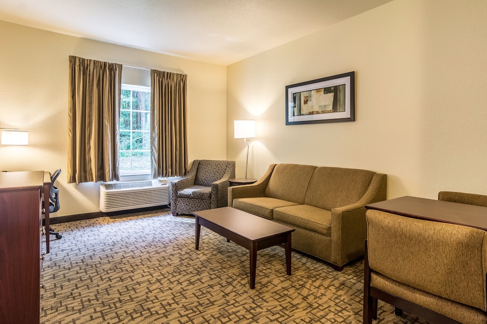 Cobblestone Hotel & Suites Greenville - photo 14