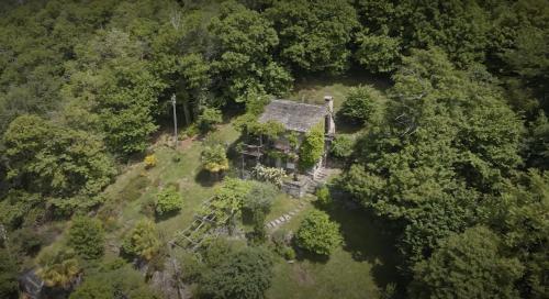 Wild Valley Rustico Style in Valle Onsernone - last minute hotel in Unknown City