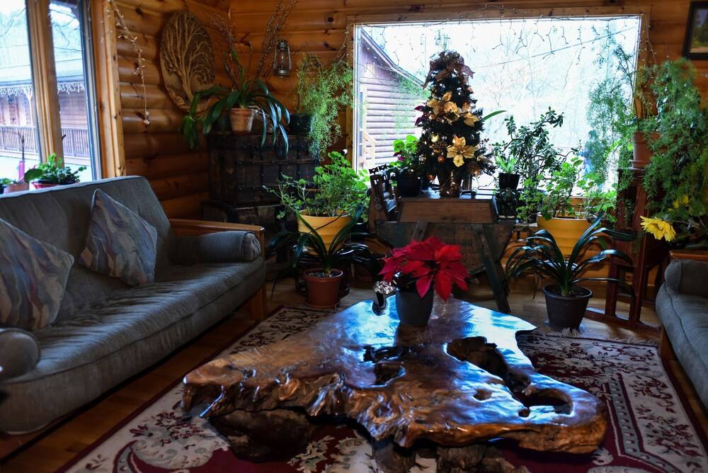 Xenia Resort - photo 2