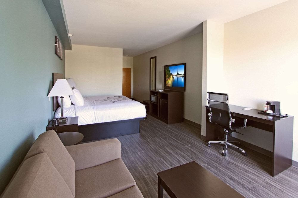 Sleep Inn & Suites Foley Gulf Shores North - photo 6