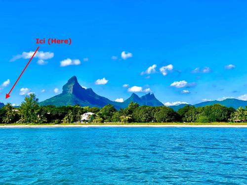 Ocean Legend Tamarina Beach — Tamarin — photo 2