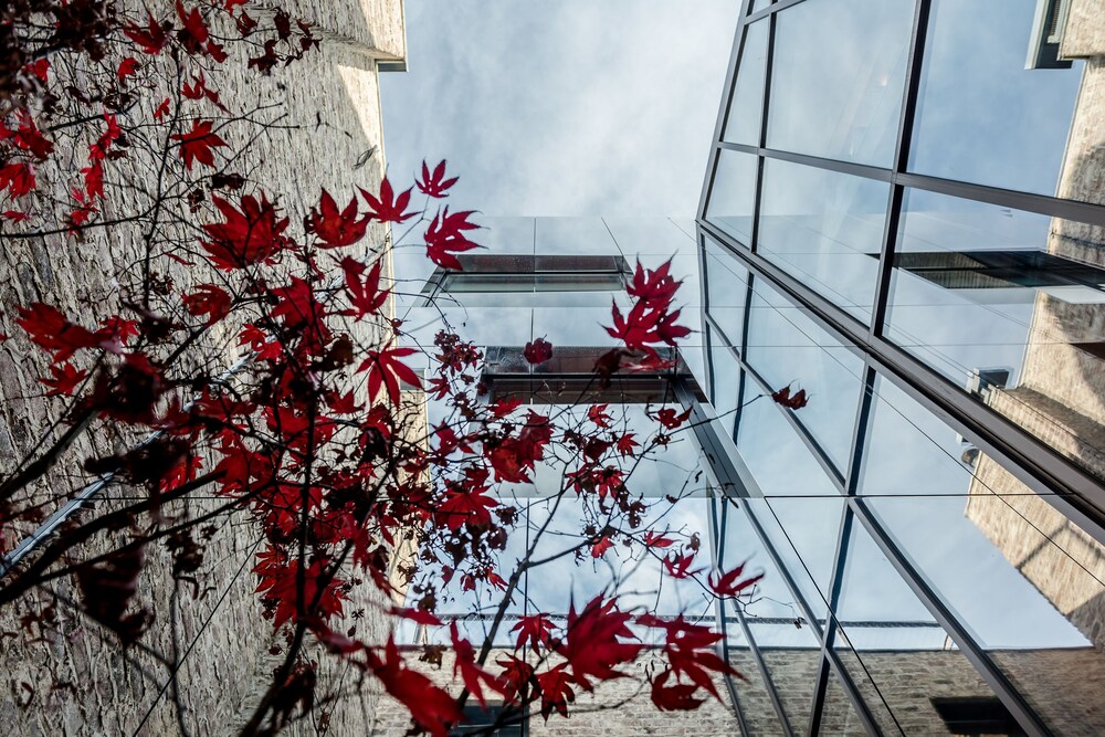 The Hide - carbon neutral hotel in Gent
