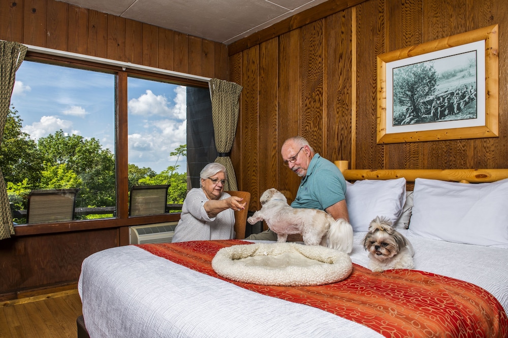 Big Meadows Lodge - photo 7