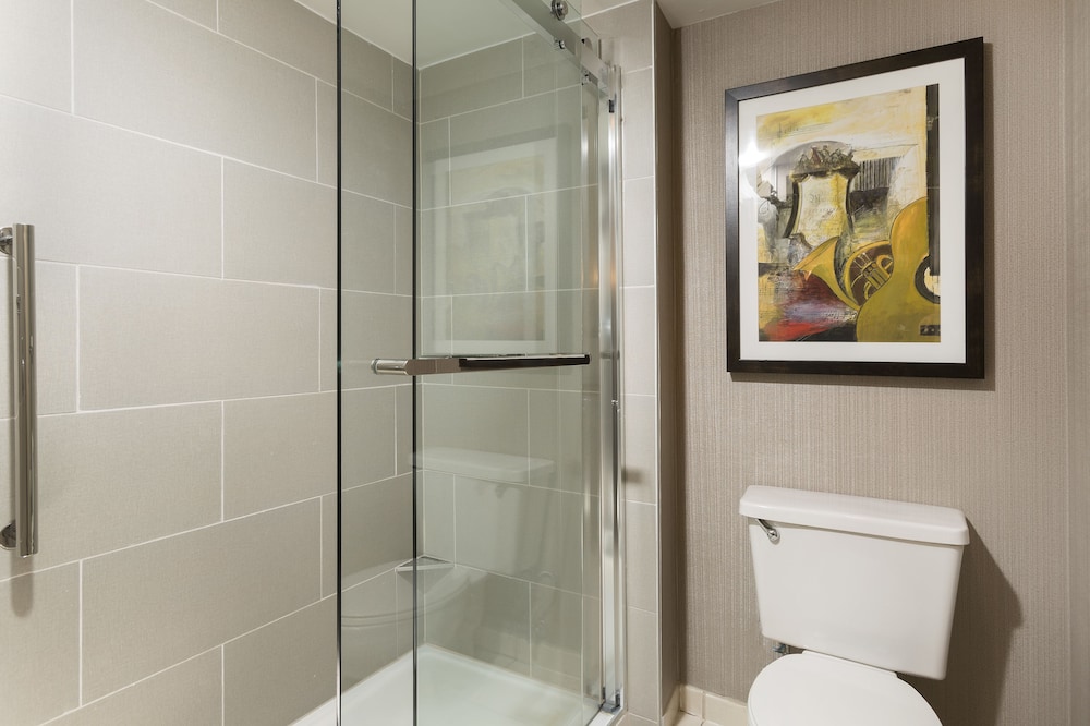 DoubleTree Suites by Hilton Nashville Airport - photo 21