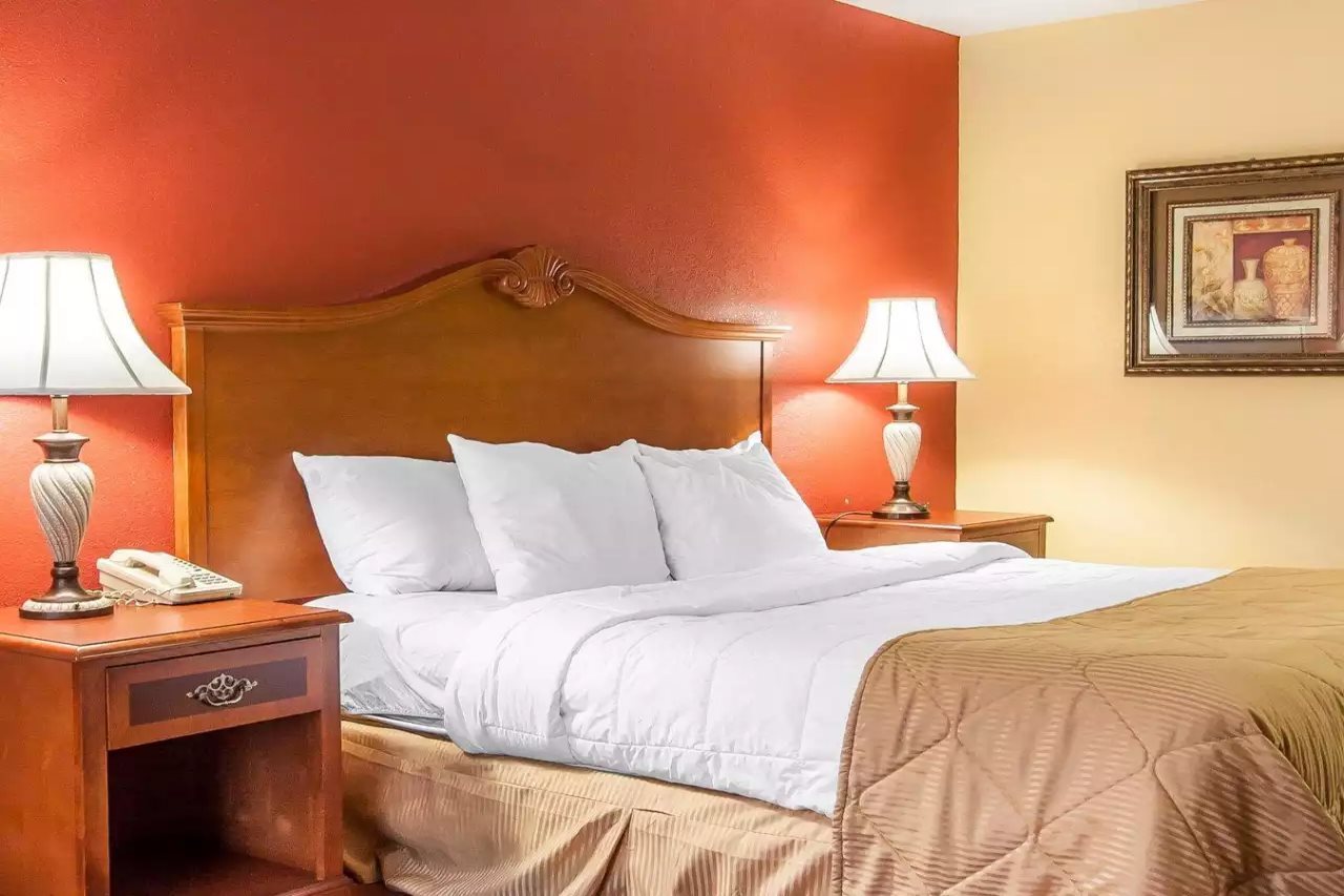 Clarion Inn & Suites University Center - photo 17