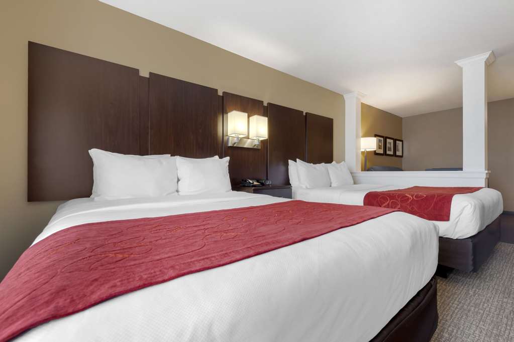 Comfort Suites and Conference Center - photo 19