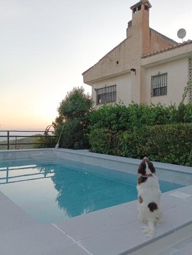 Casa los Huertecillos — 4-Star Luxury Hotel in Nivar, Spain