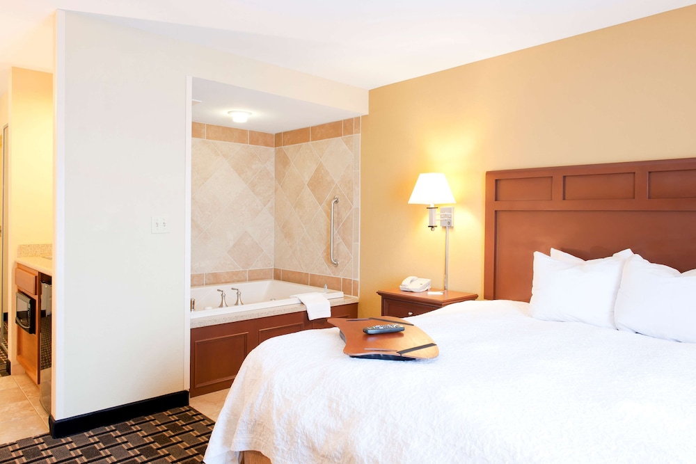 Hampton Inn & Suites Columbia at University - photo 14