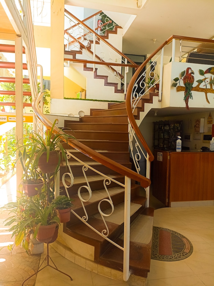 Hotel Payanito — La Merced — photo 2