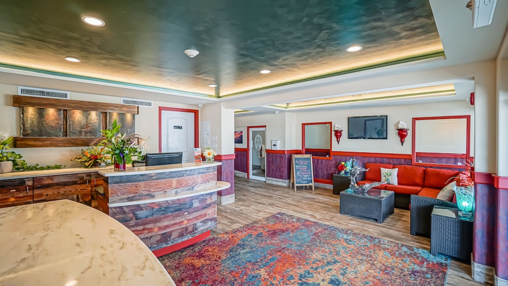 Glunz Ocean Beach Hotel & Resort - photo 5