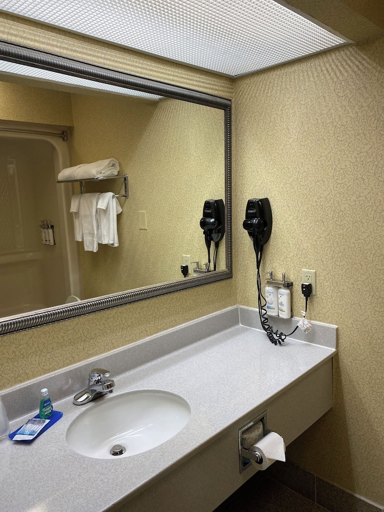 Holiday Inn Express & Suites St. Louis West Fenton by IHG - photo 42