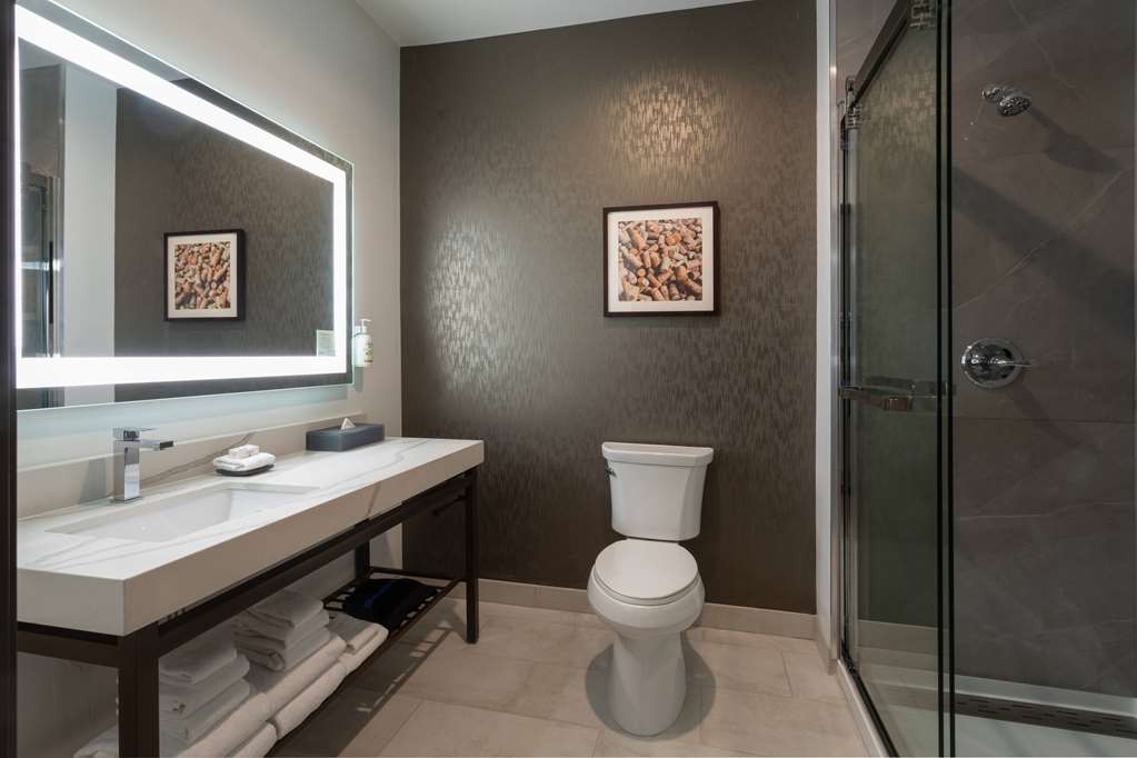 La Quinta Inn & Suites by Wyndham Galt Lodi North - photo 52