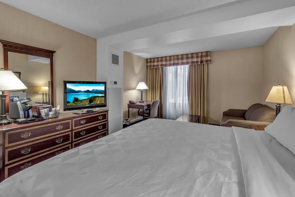 Buffalo Airport Hotel - photo 9