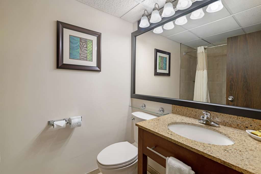 Best Western Plus Plattsburgh - photo 35