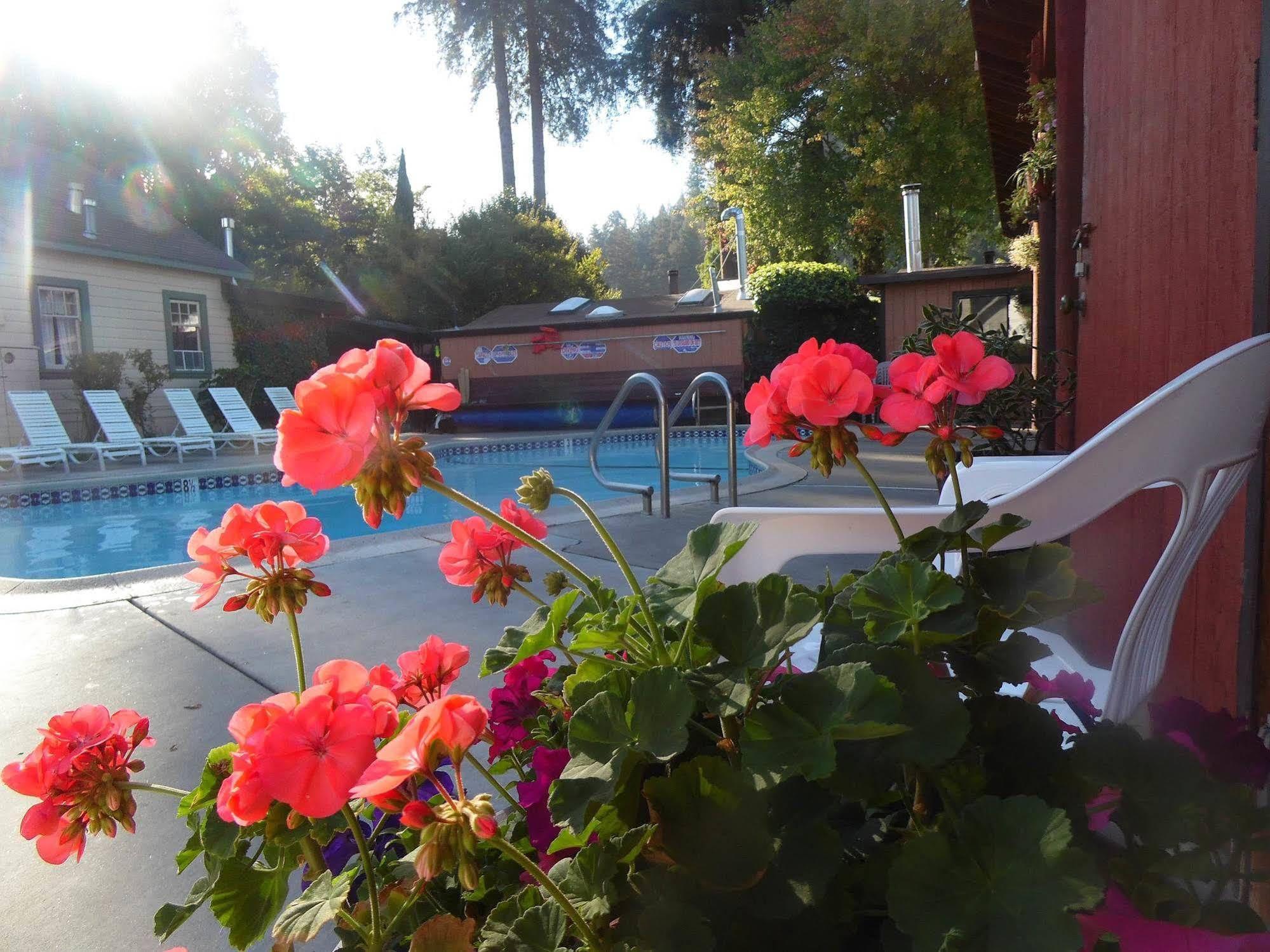 Riverlane Resort - photo 9