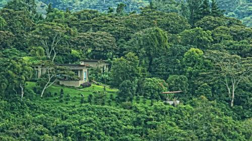 The Guest Suites at Manana Madera — 4-Star Luxury Hotel in Boquete, Panama