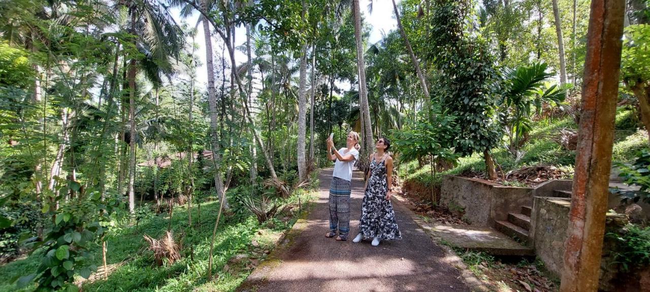 Windy Ridge Kandy - carbon neutral hotel in Kandy