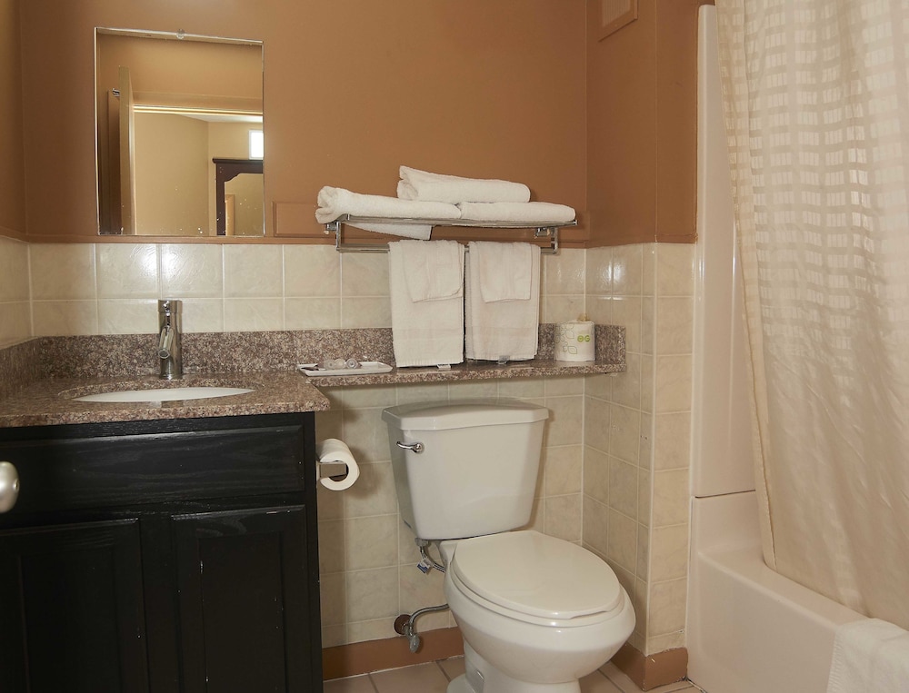 New World Inn - photo 15