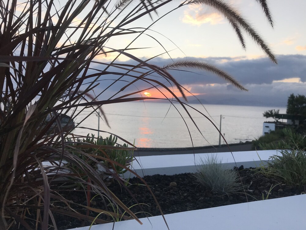 Vinhas do Calhau — Madalena — photo 3