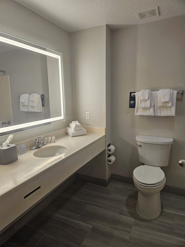 Holiday Inn Express Clermont Se West Orlando - photo 22