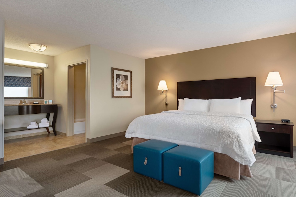 Hampton Inn & Suites Atlanta Airport West Camp Creek Pkwy - photo 9
