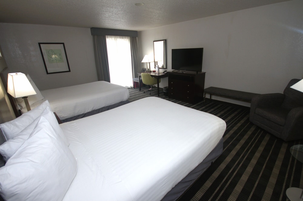 Atrium Hotel and Suites - photo 12